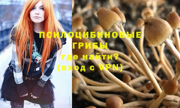 мет Абаза